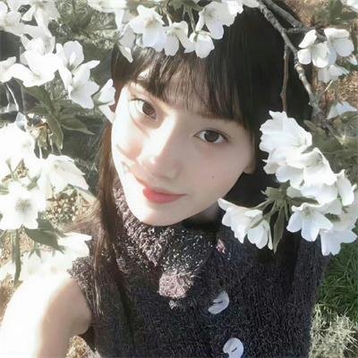 康纳斯的战争